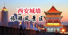 下药强奸极品老师中国陕西-西安城墙旅游风景区